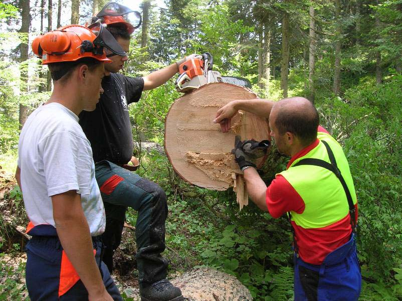 Concorso per Operatori Forestali ed Addetti alla Manutenzione